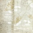 Bézs-arany levélmintás Vlies-vinyl tapéta, Maison Luxe 17743
