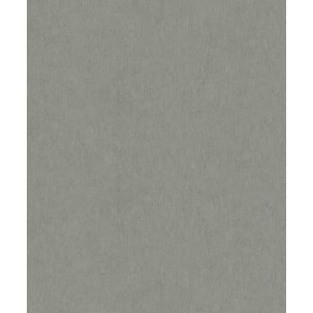   Szürkésbarna színű vakolat hatású Vlies tapéta, Ritus 35528