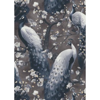   Barna alapon tört fehér színű páva mintás Vlies tapéta, Play of Light 10414-15