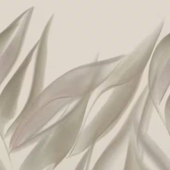 Vlies-vinyl tapéta, Incanto 367799